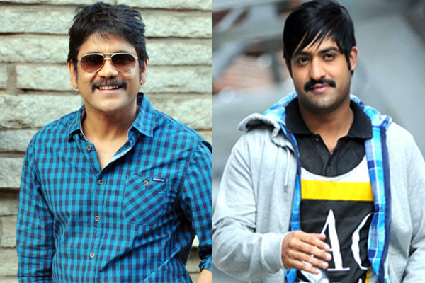 Nagarjuna and Jr.NTR together