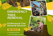 Emergency Tree Removal Services | Fast & Safe Tree Cutting