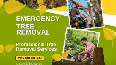Emergency Tree Removal Services | Fast & Safe Tree Cutting