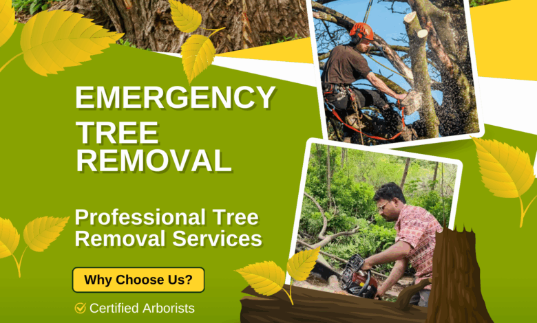 Emergency Tree Removal Services | Fast & Safe Tree Cutting
